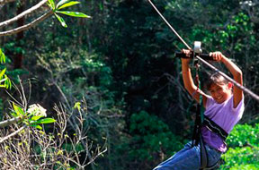 Zipline